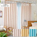 fUCJ[e 􂦂 J[e nJ[e h[v `LH  k Ռ2 { ^bZt DESIGN LIFE fUCCt 400~260cmȓŃI[_[ WFVJ (S) z V