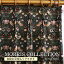 ƥ ꥹ ǥ ϥƥ  ť 8176-11T ֥å (Y)  ǥʡ åե åȥ100  ť ť Fabric by BEST OF MORRIS ɥ졼ץƥ 2ܥҥå