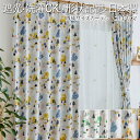 fUCJ[e 􂦂 J[e nJ[e h[v `LH  k Ռ3 { ^bZt DESIGN LIFE fUCCt TCY100~178cm L} (S) z V