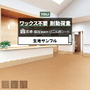 東リ 長尺シート (R) ホスピリュームNW 医療福祉施設用 生地サンプル チェリー TS2407〜TS2409 引っ越し 新生活 お買い物マラソン