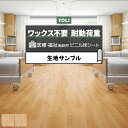 東リ クッションフロア (R) ホスピリュームNW 医療福祉施設用 生...(4)