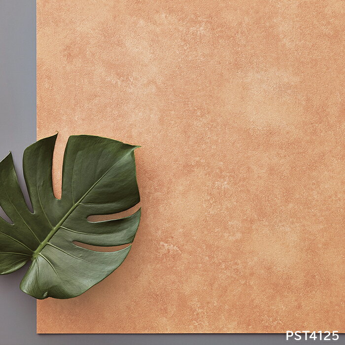 ビニル床タイル 東リ Pタイル ロイヤルストーン イタリアンテラコッタ (R) PST4124〜PST4125 生地サンプル 引っ越し 新生活