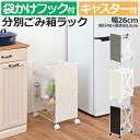 ゴミ箱 ごみ箱 ダストボックス おしゃれ ゴミ袋掛け ラック ワゴン 分別 目隠し カバー 省スペース 袋かけ フック付き キャスター付き 防水 ラタン調 シンプル スリム 約幅26×奥行40×高さ60.5cm 分別ごみ箱ラック RUD-2424 (H) 引っ越し 新生活
