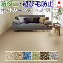 【5/24〜25は全品P5倍】カーペット ルベリー (S) 生地サンプル 引っ越し 新生活