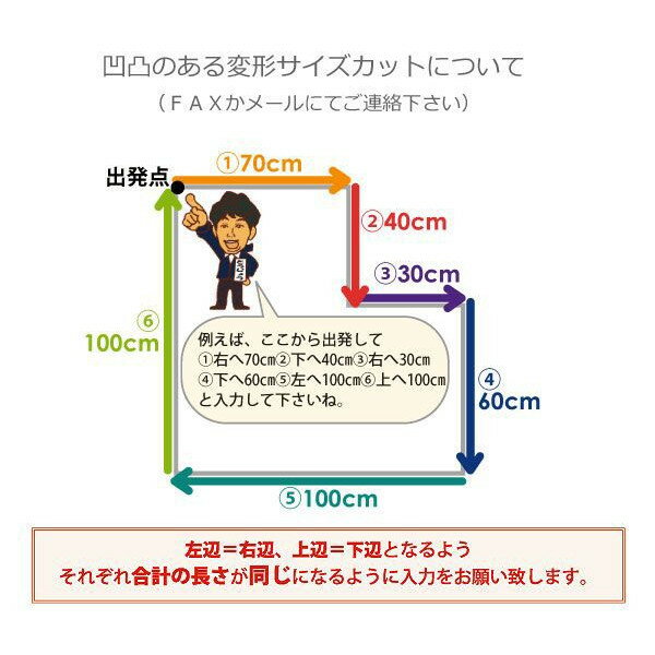 オーダーカーペット フリーカット サンゲツ カーペット 絨毯 じゅうたん ラグ マット フリーカット サンコーラス(R) 約300×200cm ループパイル ポリプロピレン 無地 シンプル ベーシック 引っ越し 新生活 2