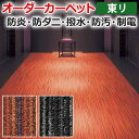 【5/24〜25は全品P5倍】生地サンプル オーダーカーペット 東リ カーペット シャサーヌ 引っ越し 新生活