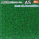 個人宅配送不可 スパックターフ 人工芝 屋外 外 耐久 屋内 天然芝風 天然のような グリーン 約1.8m幅×20m レギュラーシリーズ AS (R) 東レ 引っ越し 新生活