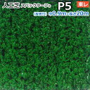 スパックターフ 人工芝 レギュラーシリーズ P5 (Ry) 東レ サンプル 引っ越し 新生活