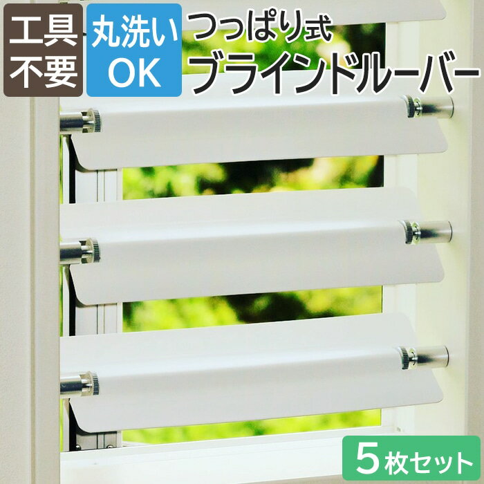 透明 ビニールカーテン シングル TYPE 1 VC02 片開き(1枚) 帯電 0.5mm (幅175×高さ250cm迄)