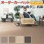 オーダーカーペット フリーカット サンゲツ カーペット 絨毯 じゅうたん ラグ マット サンナチュラル 約250×350cm ウール ベーシック シンプル 防ダニ ループパイル 半額以下 引っ越し 新生活