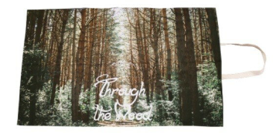 【在庫限り】【DESTINO】スルーザウッド　ピクニックシート[アウトドア ピクニック ビーチ キャンプ お花見 おでかけ 夏フェス 花火大会　公園 遠足 レジャーシート 敷物 おしゃれ 海外 持ち運び]