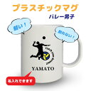 卒団記念品 バレーマグカップ 《名入れ無料》オリジナル プレゼント 【CYD】大会 卒業 入部 大会 メモリアル