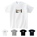 【半袖 スモールアートTシャツ】ミケランジェロ・ブオナローティ Tシャツ アダムの創造 フォーカス アート 半袖 SS S/S メンズ レディース キッズ 子供...