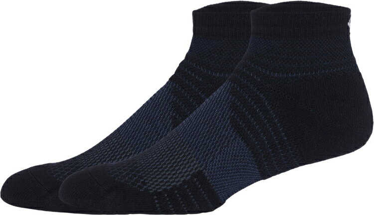 asics アシックス SOCKS10 ピーコート L 