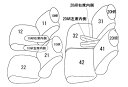 CLAZZIO クラッツィオ カスタムオーダー シートカバー ホンダ N-BOX JF3 / JF4 H29(2017)/9〜R2(2020)/12 EH-2047 | 車 シート カバー 保護 カーシート 汚れ 防止 対策 DIY