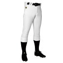 DESCENTE デサント レギュラーフィットパンツ ホワイト 2XO DB5SHP19M WH00 | スポーツ スポーツウェア 野球 ソフトボール ジュニア...