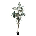 ポッシュリビング オリーブツリー 80954 | 観葉植物 インテリア グリーン おしゃれ 人気 ハンギング 花 ディスプレイ ギフト アレンジメント 癒し