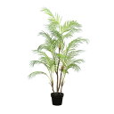 ポッシュリビング アレカヤシ 81023 | 観葉植物 インテリア グリーン おしゃれ 人気 ハンギング 花 ディスプレイ ギフト アレンジメント 癒し