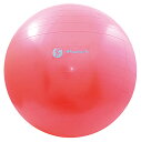 SAKURAI サクライ貿易 バランスボール レベル2 65cm TPT0268 | スポーツ 運動 スポーツ用品 トレーニング フィットネス エクササイズ バランス力 体幹トレーニング 筋力 インナーマッスル ダブルアクションポンプ 運動器具 筋トレ ケガ防止(4)