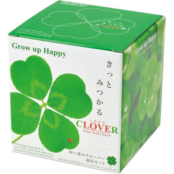 四つ葉のクローバー栽培セット GD‐592 | 0667064 園芸 ガーデニング 植物 セット ポット 植木鉢 鉢 栽培 培養土 種 肥料 四葉 四つ葉 クローバー 人気 イベント ギフト 家庭菜園 部屋 室内 屋内 屋外のサムネイル