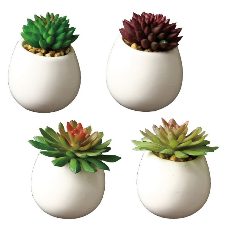 SPICE スパイス SPICE OF LIFE フェイクグリーン 多肉ミニマグネット4種アソート ホワイト TADY9358WH ..