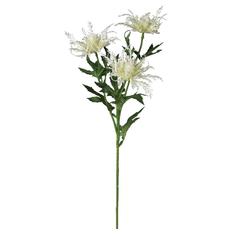 SPICE スパイス SPICE OF LIFE フェイクグリーン エリンジューム ホワイト KLGK2910WH | ガーデン 植物 フェイクグリーン フェミニン 人気 フェイクグリーン メタリックカラー