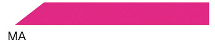 VIEW タバタ 交換用ストラップ マゼンタ VB120H MA | スポーツ アウトドア 水泳 競泳 ゴーグル ベルト パーツ 替えベルト プール 海水浴 ア...