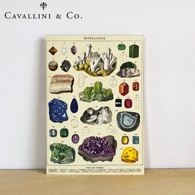 カバリーニ グリーティングカード 多目的カード 鉱物 鉱石 二つ折りカード メッセージカード 封筒付き カヴァリーニ おしゃれ CAVALLINI