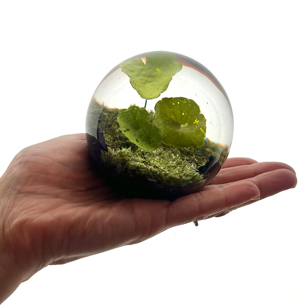 アマブロ エバーリーフボール amabro EVER LEAF BALL レジン オブジェ ペーパーウェイト 植物 インテリア [3]