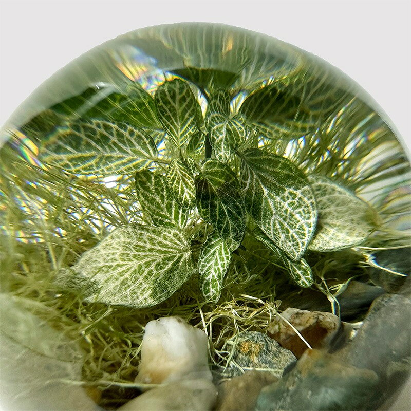 アマブロ エバーリーフボール amabro EVER LEAF BALL レジン オブジェ ペーパーウェイト 植物 インテリア [2]