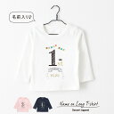 【長袖Tシャツ】名入れ キッズ ベビー バースデー01 ロンティー 80 90 100 110 130 140 150 名前入り 出産祝い ギフト 誕生日 プレ...