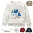 キッズ トレーナー 名入れ 恐竜01 ティラノサウルス トリケラトプス プテラノドン ダイナソー スウェット 100 110 120 130 140 150 子...