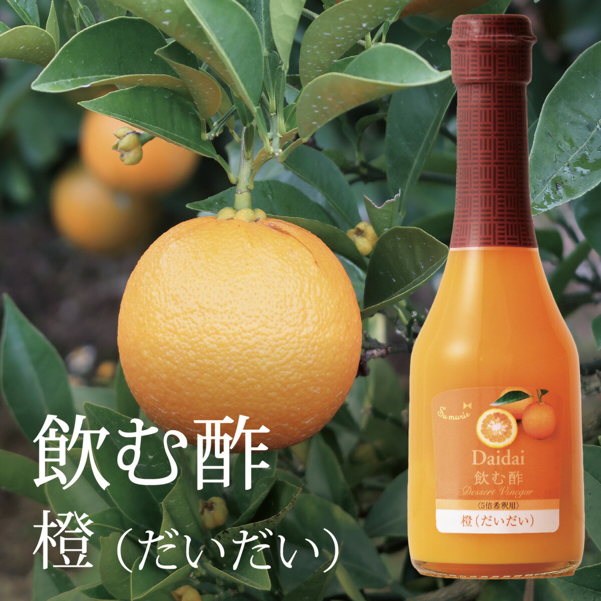 【飲む酢】橙（だいだい）の酢 250ml デザートビネガー OSUYA GINZA　お酢屋 銀座 果実酢 食品添加物（着色・香料・甘味料）不使用 オークスハート 内堀醸造