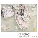 【受注販売】 バレエ トップス バレエイラストプリントTシャツ(14.pointe shoes) レディース 半袖 24春夏新作 ジゼルハート