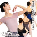 気になる腕を隠す トップス レオトップ 半袖 吸水 速乾