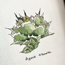 agave titanota painting / AKx `^m^ IWi fUCyzyzz yϗtAzyAzyCeAz