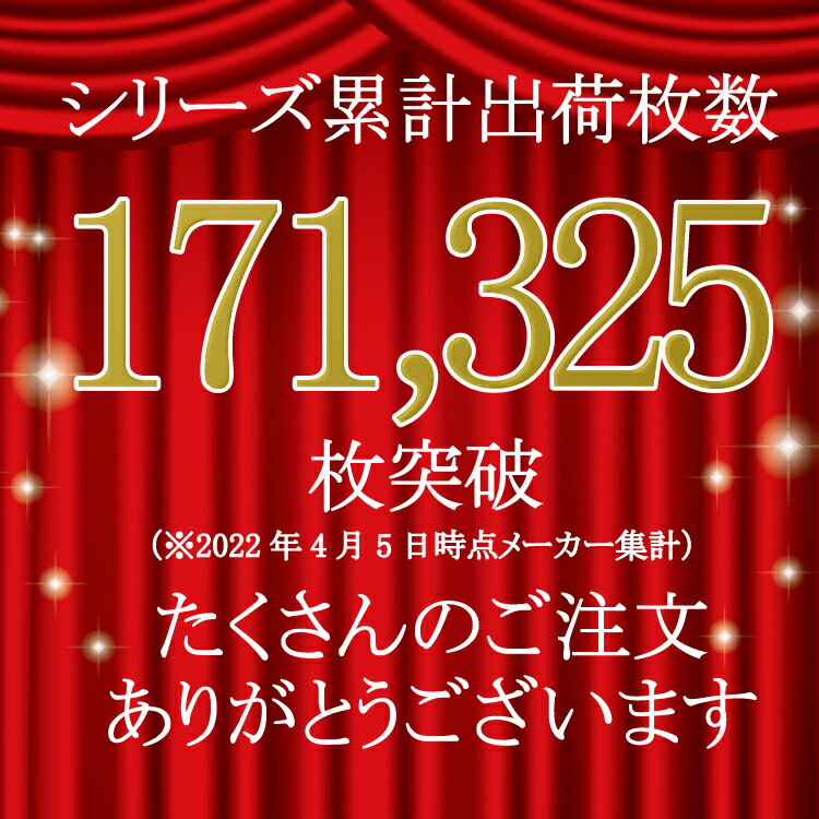 チュールレース 不織布マスク レースマスク 不織布 結婚式 イベント オーロラ カラー 柄 9枚入 可愛い レディース 4個までメール便1通発送【注意事項：複数個ご購入の場合は送料を後程店舗にて訂正します】灰P