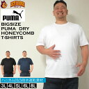 大きいサイズ メンズ PUMA DRY ハニカ