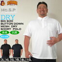 大きいサイズ メンズ 定番 Mc.S.P DRY ハニカム メッシュ B.D 半袖 ポロシャツ(メーカー取寄)吸水速乾機能 ドライ エムシーエスピー 3L 4L 5L 6L 8L 10L 定番 大きい サイズ ビッグサイズ キングサイズ ブランド おしゃれ ポロシャツ ポロ 夏 春 トップス 春服 夏服 制服