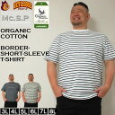大きいサイズ メンズ Mc.S.P オーガニック コットン ボーダー クルーネック 半袖 Tシャツ(メーカー取寄)3L 4L 5L 6L 7L 8L キングサイズ ビッグサイズ 大きい サイズ ブランド 服 おしゃれ カジュアル デビルーズ カットソー メンズファッション 春 夏 服