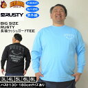 大きいサイズ メンズ 水着 RUSTY PEARTEX UV 水陸両用 長袖Tシャツ ラッシュガード(メーカー取寄)ラスティ 3L 4L 5L 6L 8L 大きい サイズ キングサイズ ビッグサイズ UV UVカット 体系カバー 海 スポーツ プール 男性用 日焼け対策 ビーチ 紫外線対策