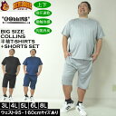大きいサイズ メンズ COLLINS ハニカムメッシュ脇切替 半袖Tシャツ ハーフパンツ 上下セット(メーカー取寄)コリンズ 3L 4L 5L 6L 8L 大き...