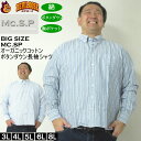 大きいサイズ メンズ Mc.S.P オーガニックコットン 100 オックスストライプ 長袖 B.Dシャツ(メーカー取寄)エムシーエスピー 3L 4L 5L 6L 8L ボタンダウン 大きい サイズ ビッグサイズ キングサイズ デビルーズ おしゃれ ブランド 長袖シャツ メンズファッション