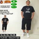 大きいサイズ メンズ PEANUTS 天竺ラグラン 半袖Tシャツ ハーフパンツ 上下セット(メーカー取寄)ピーナッツ スヌーピー 3L 4L 5L 6L 8L ...