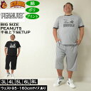 大きいサイズ メンズ PEANUTS 天竺リンガー 半袖Tシャツ ハーフパンツ 上下セット(メーカー取寄) ピーナッツ スヌーピー 3L 4L 5L 6L 8L...