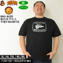 大きいサイズ メンズ 新日本プロレス エル・デスペラード「ESTILO MEXICANO」半袖Tシャツ(ブラック×シルバー)(メーカー取寄) 3L 4L 5L 6L 8L 綿 コットン プリント 大きい サイズ キングサイズ ビッグサイズ デビルーズ インナー おしゃれ ブランド