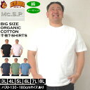 大きいサイズ メンズ Mc.S.P オーガニックコットン クルーネック 半袖Tシャツ(メーカー取寄)3L 4L 5L 6L 7L 8L 大きい サイズ キングサイズ ビッグサイズ デビルーズ インナー おしゃれ ブランド カットソー メンズファッション 春 夏 服