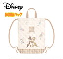 【メール便送料無料】ディズニー チップ&デール 体操服バッグ ナップサック サブバッグ 子供用 雑貨 女の子 新学期 入学 入園 キャラクターグッズ お祝い プ...
