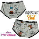 【メール便OK】PEANUTS SNOOPY スヌーピー スクール ローライズ2Pショーツ 2枚組 バックプリント 総柄 インナー 下着 アンダーウエア パンツ...