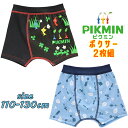 【メール便送料無料】PIKMIN ピクミン ボクサーブリーフ 2枚組 きゃらふるインナー 前閉じ 総柄 プリント インナー 下着 パンツ キッズ こども 男の子...